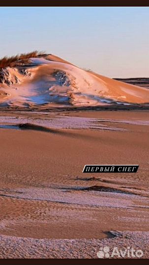 Индивидуальные экскурсии калининград и область