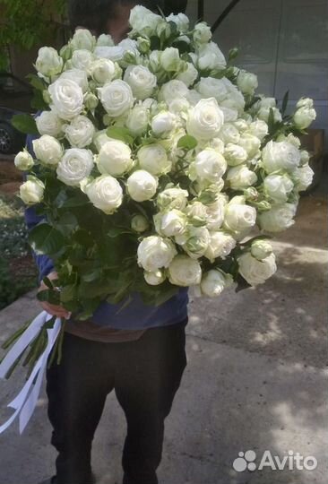 Пионовидные розы Метровые Доставка