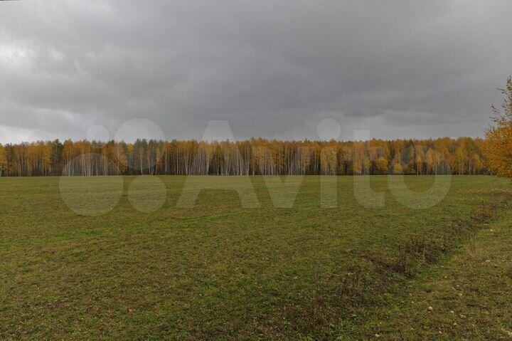 Участок 1,87 га (промназначения)