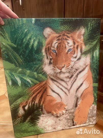 Тигр алмазная мозаика