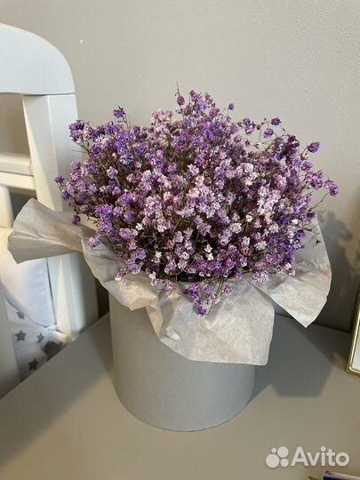 Сухоцветы букет - гипсофила