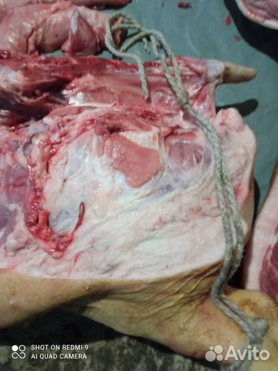 Мясо свинина домашняя