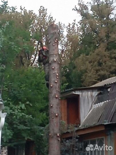 Сил и удаление сложных деревьев