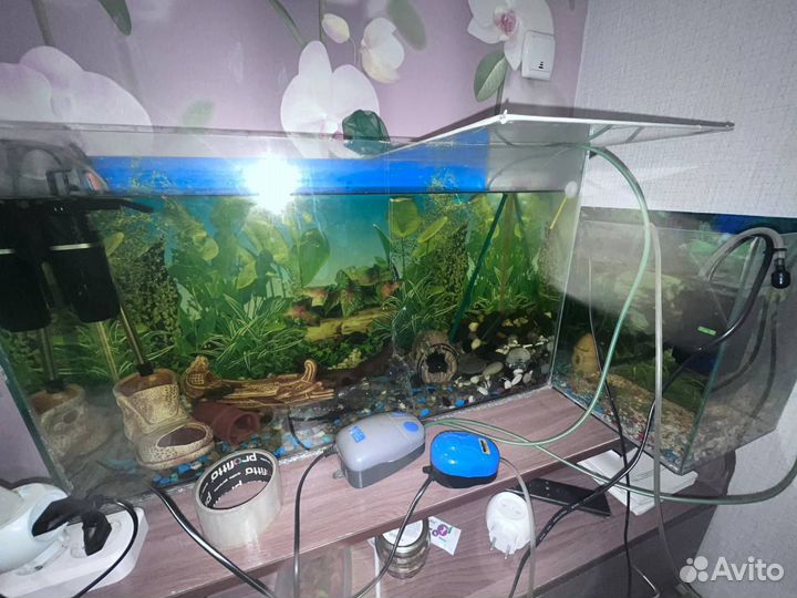 Аквариум с рыбками