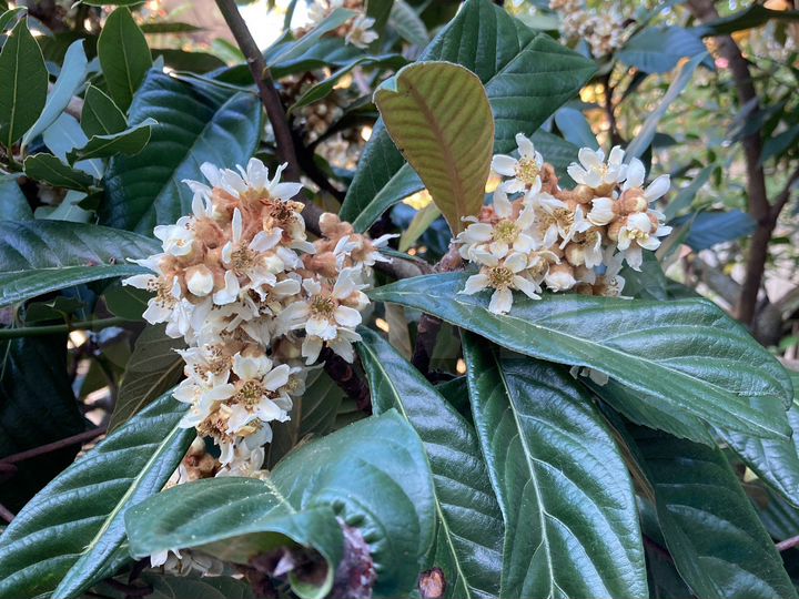 3-к. квартира, 68,9 м², 1/12 эт.