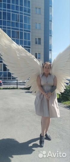 Большие белые крылья