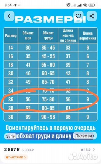 Зимний комбинезон для собаки Стафф