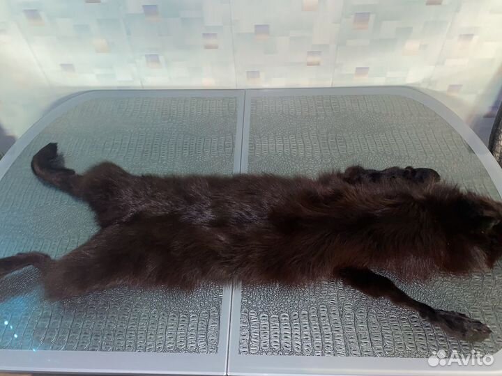 Натуральная шкура