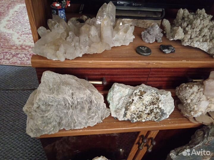 Минералы. Окаменелости. Септарии. Жеоды. Аммониты