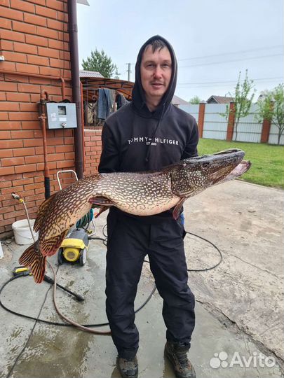 Рыбалка с гидом на реке Волга в близи Казани