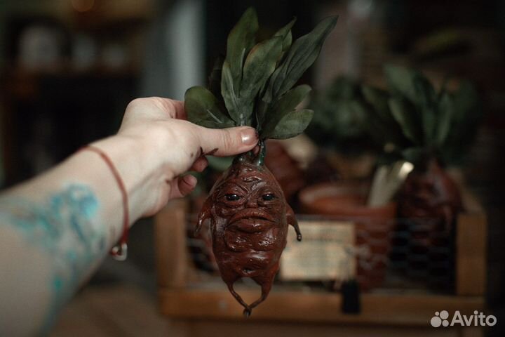 Гарри Поттер (мандрагора) harry potter mandrake