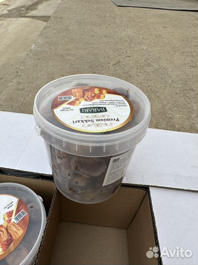 Финики суккар