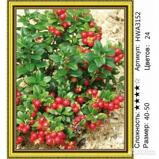 Алмазная мозаика 40x50 Куст брусники