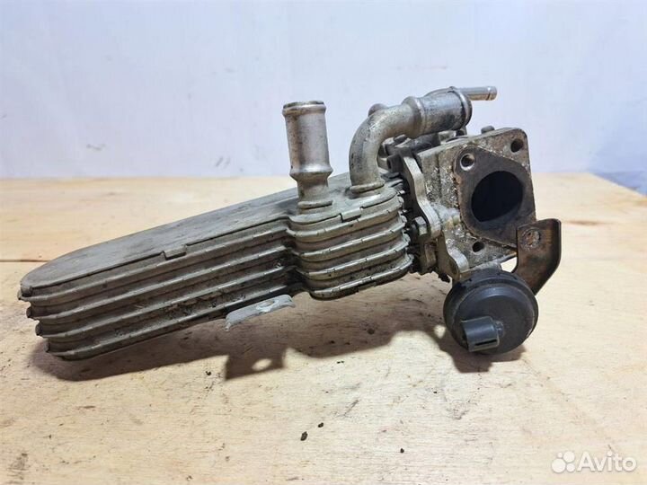 Радиатор системы EGR VW Passat (B6) 2005-2010