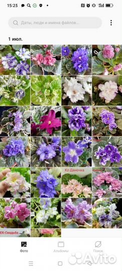 Черенки и детки фиалок