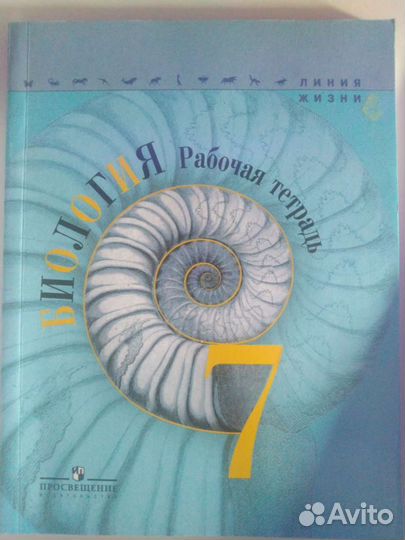 Рабочая тетрадь