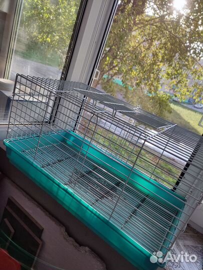 Клетка для грызунов бу