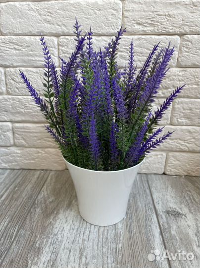 Лаванда искусственная в кашпо