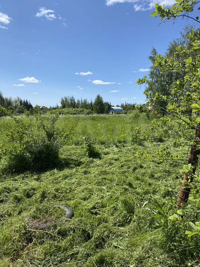 Участок 20 сот. (СНТ, ДНП)