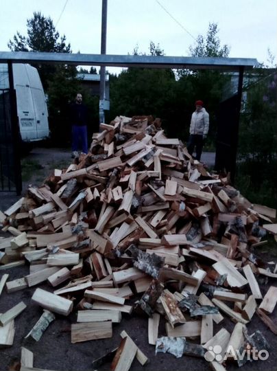 Дрова Береза