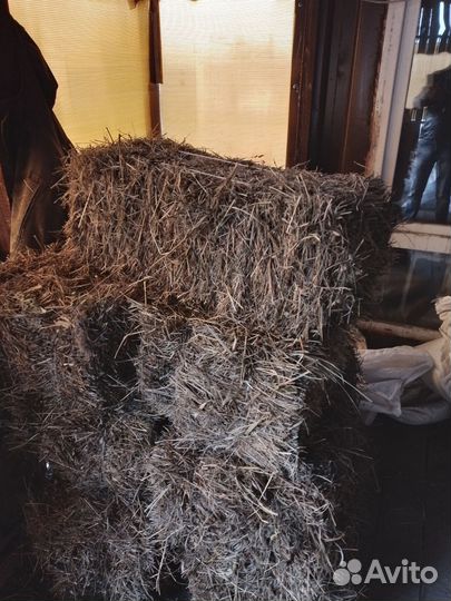 Сено в брикетах