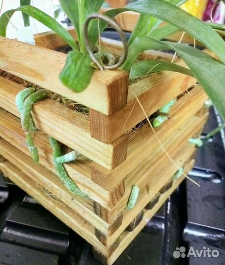 Подвесная кашпо-корзина для орхидей