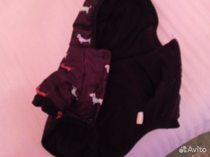 Одежда для маленьких собак