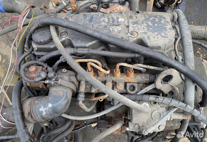 Двигатель cummins 4isbe