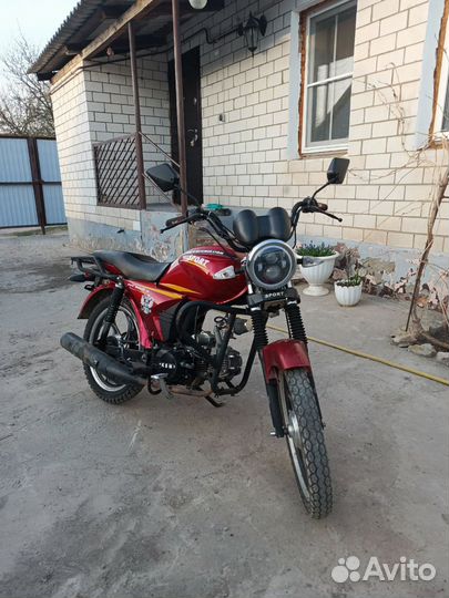 Альфа спорт 110 кубов