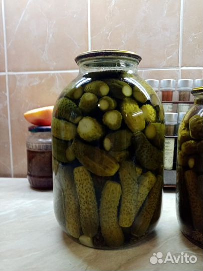 Соленья домашние