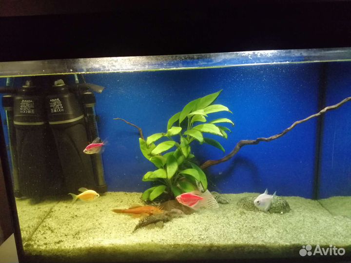 Аквариум с полным комплектом