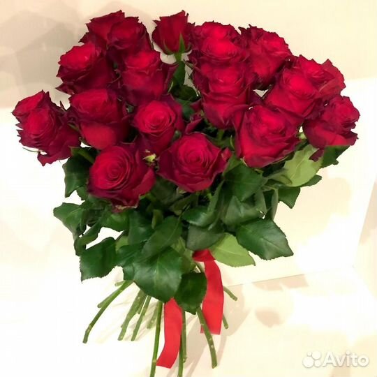 Красные розы сорта explorer 70 см