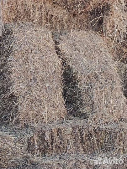 Сено разнотравье в тюках