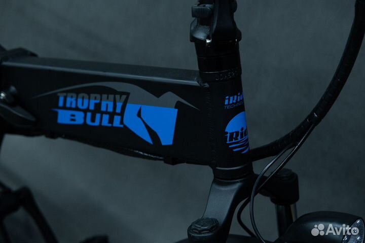 Складной Электровелосипед EasyRider 48 черный