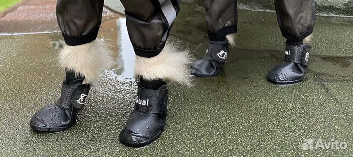 Ботинки для собак