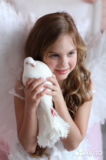 Животные для фотосессии,аренда