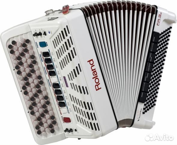 Баянист на праздник