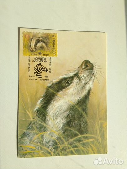 Картмаксимумы