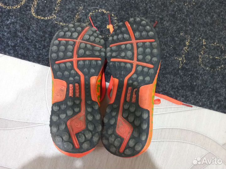 Сороконожки