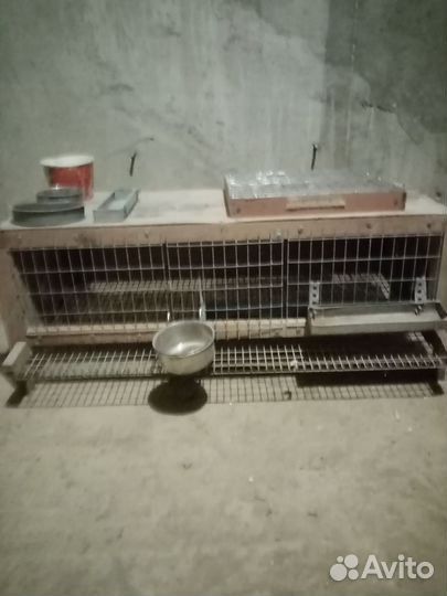 Клетка для перепелок