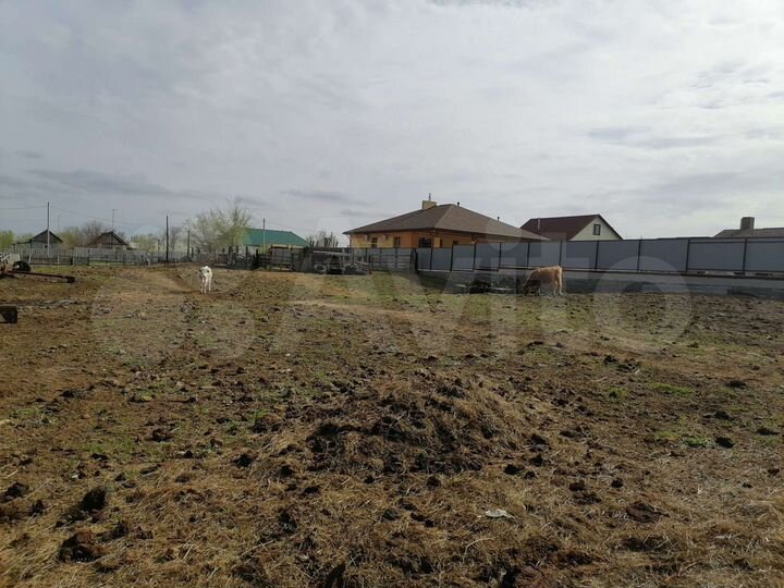 Участок 25 сот. (ИЖС)