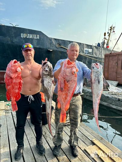 Индивидуальная морская рыбалка. Камчатка