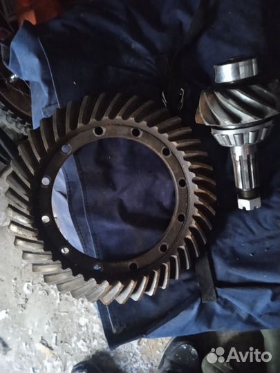 Главная пара Валдай