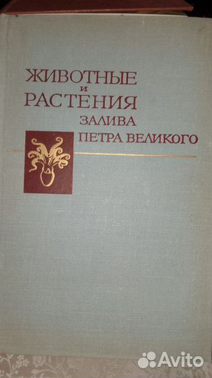 Животные и растения залива Петра Великого