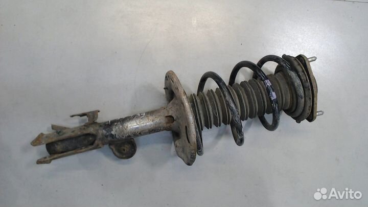 Амортизатор подвески Toyota RAV 4, 2016