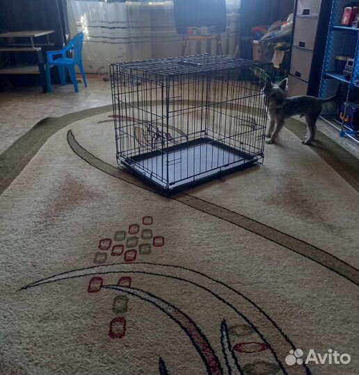 Вольер для собак