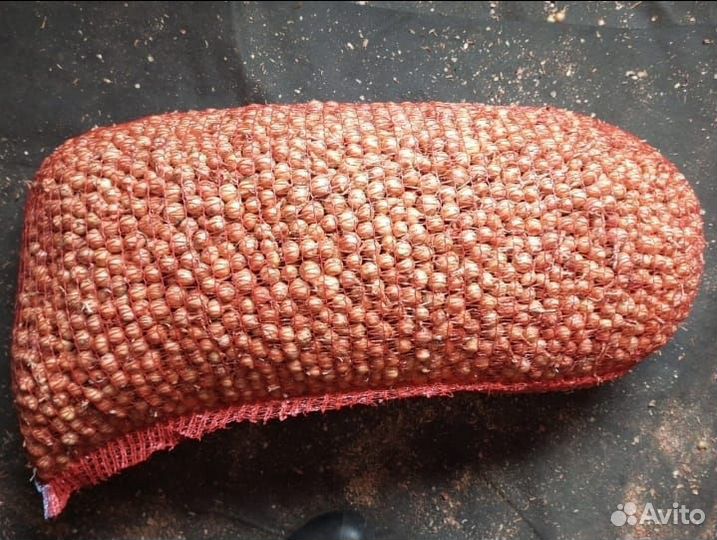 Лук Севок Оптом первая, вторая фракц Штутгартер