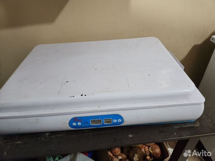 Инкубатор для яиц бу