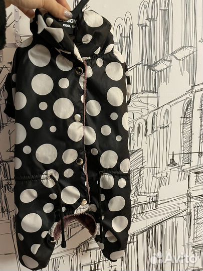 Одежда для собак мелких пород