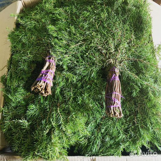 Веники пихтовые с доставкой